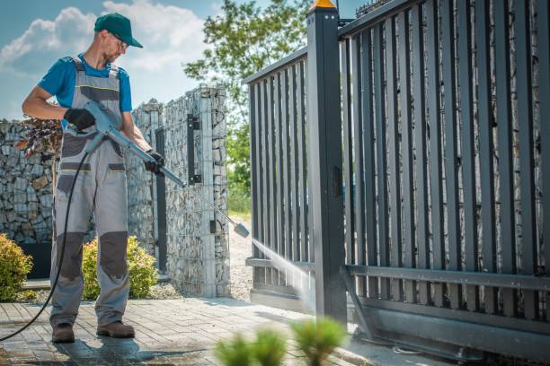 Best Graffiti Removal  in Lake Alfred, FL