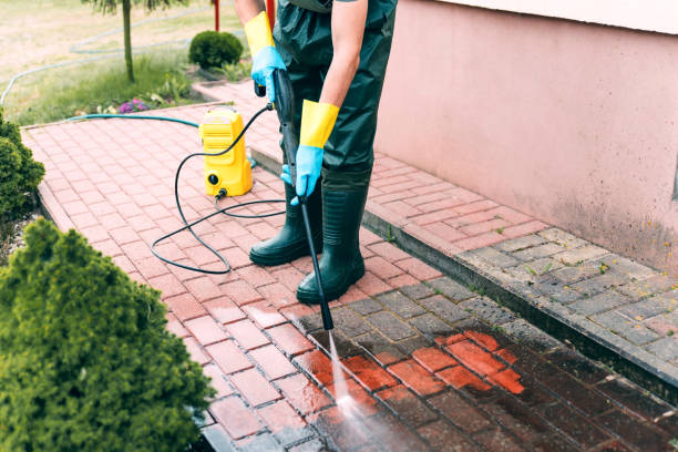 Best Sidewalk and Walkway Cleaning  in Lake Alfred, FL