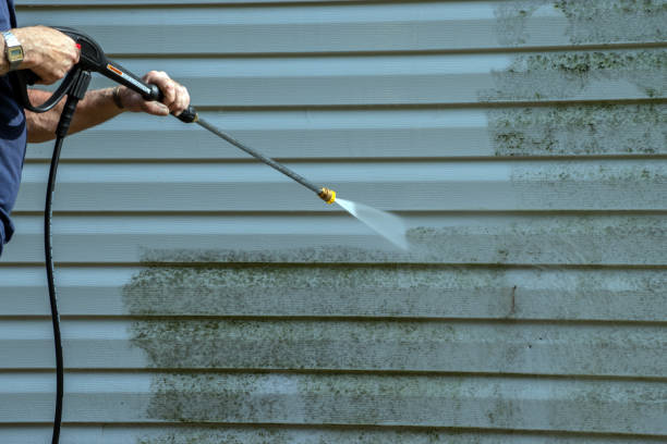 Best Driveway Pressure Washing  in Lake Alfred, FL